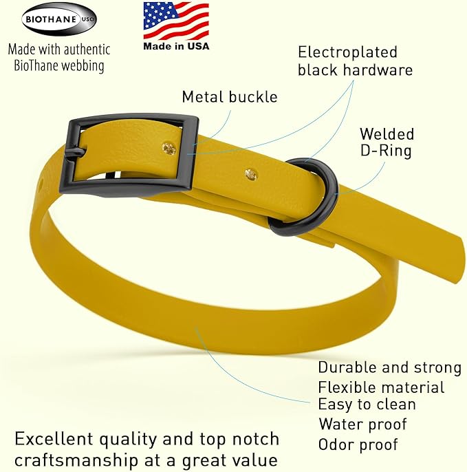 Dogline Biothane Waterproof Dog Collar Strong Coated Nylon Webbing with Black Hardware Odor- Proof for Easy Care Easy to Clean High Performance Fits Small Medium or Large Dogs, Treasure Gold-PurrikoPets