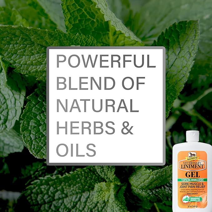 Absorbine Veterinary Liniment Gel, Topical Menthol Analgesic Rub for Sore Muscle, Joint & Arthritis Pain Relief, Combo Pack Includes 12oz Value Size + 3oz Travel Size-PurrikoPets