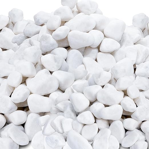 45LB 1"-2" White River Rocks for Plants, Polished Pebbles for Garden Landscaping, Planters, Aquariums, Vase Fillers – Indoor & Outdoor Decor-PurrikoPets