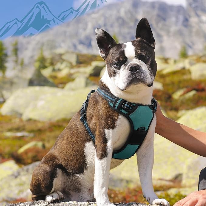 Eagloo Dog Harness Medium Sized Dog, No Pull Service Vest with Reflective Strips and Control Handle, Adjustable and Comfortable for Easy Walking, No Choke Pet Harness with 2 Metal Rings, Dark Green, M-PurrikoPets