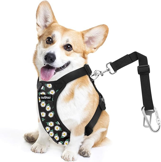 Dog Seat Belt, Safety Vest Dog Car Harness with Adjustable Buckle Dog Seat Belt for Vehicle Nylon Pet Safety Seat Belts Heavy Duty(S, Black Daisy)-PurrikoPets