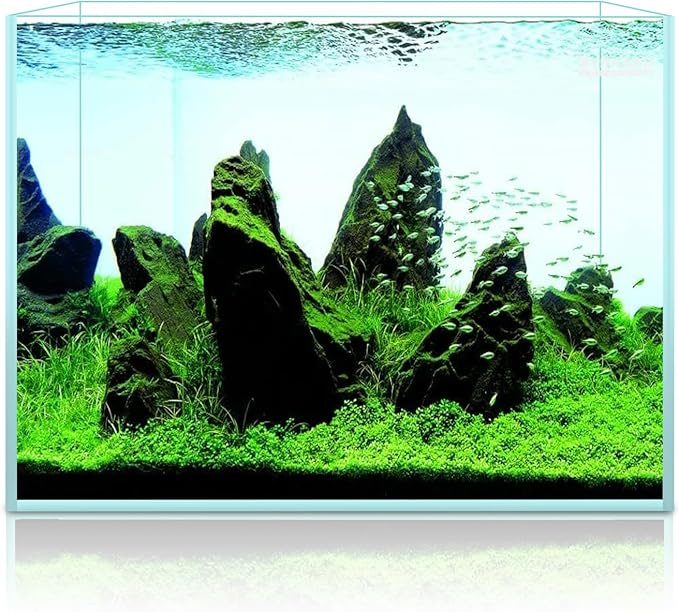 2.5 Gallon Rimless Aquarium Tank, Ultra Clear Low Iron Nano Fish Tank for Betta Shrimp, L11.8×W5.5×H9.8 Glass Thickness 5mm with EVA Foam Leveling Mat-PurrikoPets