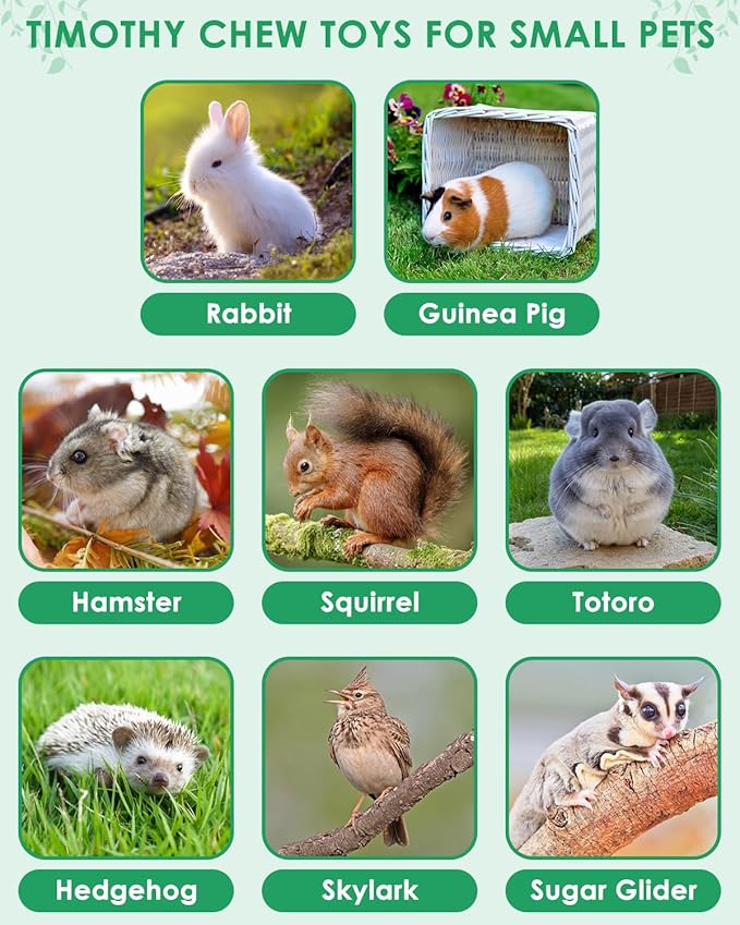 ERKOON 53 Bunny Chew Toys for Rabbits Teeth, Natural Rabbit Toys Apple Wood Sticks, Carrot, Timothy Grass for Small Pets, Hamster, Chinchilla, Guinea Pig Dental Care and Treat Teething(53)-PurrikoPets