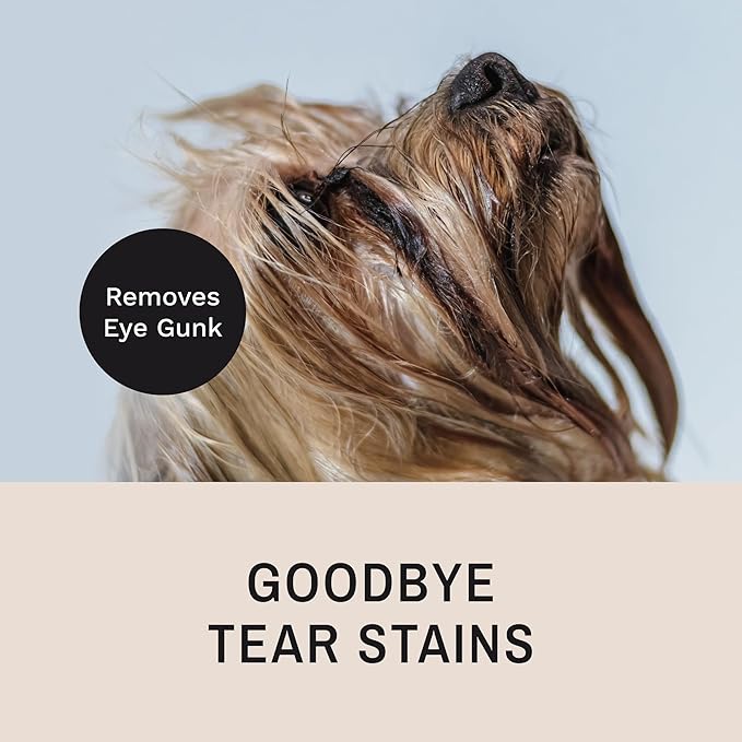 Eye Envy Tear Stain Remover Comb for Dogs and Cats. Fine/Coarse with 80 Rounded Pins. Gently Remove Crusty Eye Debris, Gunk and Boogers. Face and Feet Comb. Remove Tangles-PurrikoPets