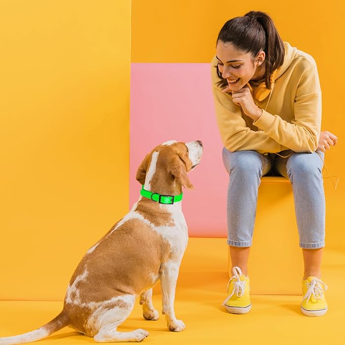Dogline Biothane Waterproof Dog Collar Strong Coated Nylon Webbing with Black Hardware Odor- Proof for Easy Care Easy to Clean High Performance Fits Small Medium or Large Dogs, Tropical Green-PurrikoPets