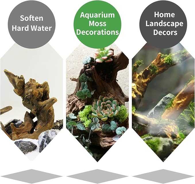 5 Pcs Driftwood Branches Aquarium Wood Decoration Natural Fish Tank Habitat Decor Wood for Lizard Assorted Size-Small-PurrikoPets