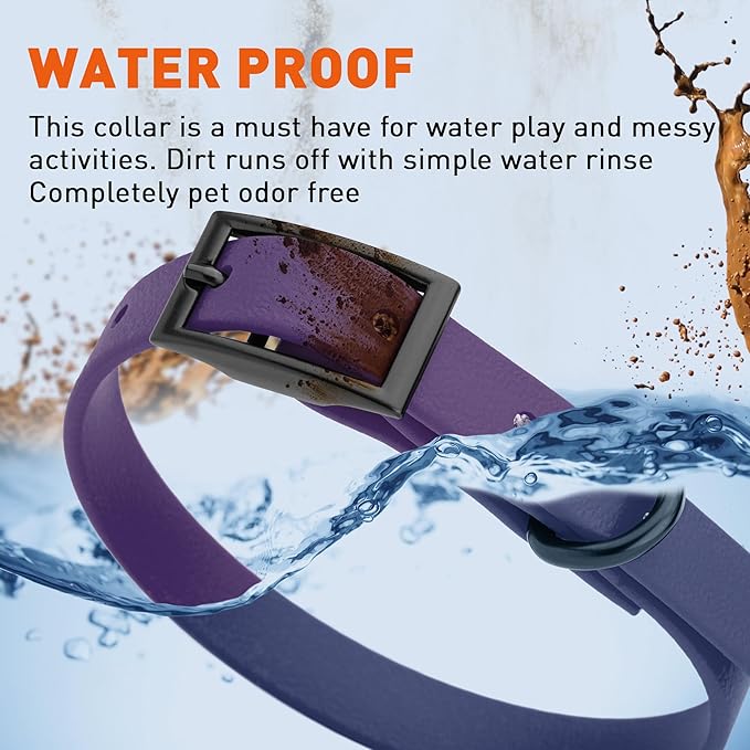 Dogline Biothane Waterproof Dog Collar Strong Coated Nylon Webbing with Black Hardware Odor- Proof for Easy Care Easy to Clean High Performance Fits Small Medium or Large Dogs, Violet Purple-PurrikoPets