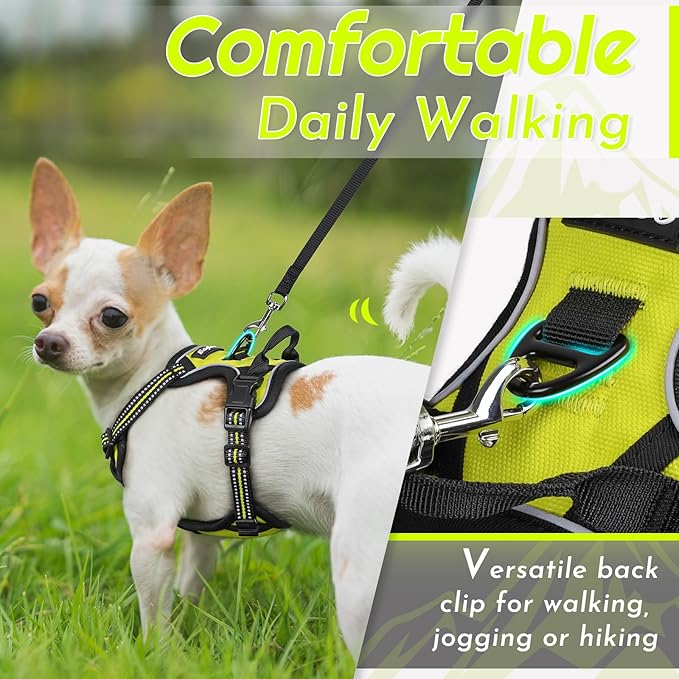 Eagloo Small Dog Harness No Pull, Service Vest with Reflective Strips and Control Handle, Adjustable and Comfortable for Walking, No Choke Pet Harness with 2 Metal Rings, Green, XS-PurrikoPets