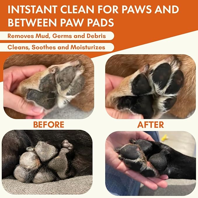 Dog Paw Cleaner | Gentle & PH-Balanced | Dog Paw Wash for All Breeds | Nourishing Formula with Aloe Vera | Portable & Easy-to-Use | Paw Cleaning Foam with Silicone Brush - 5.1 Fl Oz-PurrikoPets