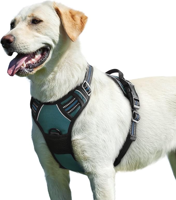 Eagloo Dog Harness for Large Dogs, No Pull Service Vest with Reflective Strips and Control Handle, Adjustable and Comfortable for Easy Walking, No Choke Pet Harness with 2 Metal Rings, Dark Green, L-PurrikoPets