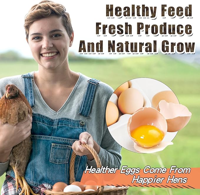 Dried Black Soldier Fly Larvae, 85X More Calcium Than Mealworms High-Protein BSF Larvae Chicken Treats Non-GMO BSFL for Chickens, Hens, Ducks, Wild Birds 5LBS-PurrikoPets