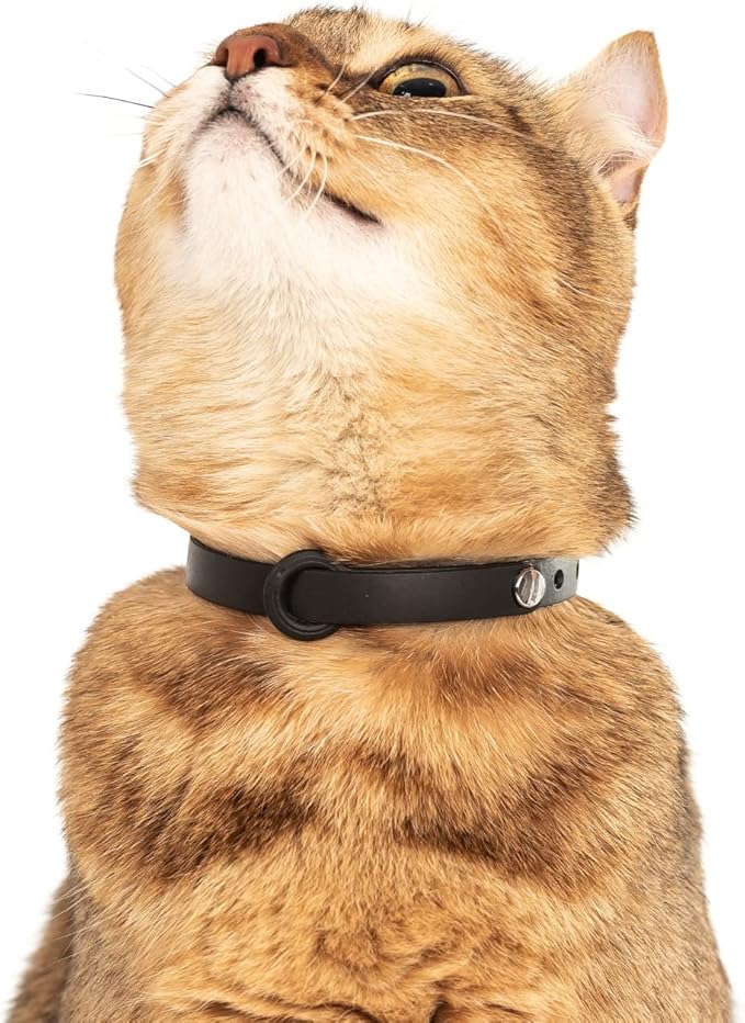 5 Pack Breakaway Cat Collar - Soft, Comfortable, and Lightweight Safety Buckle Collar with ID Tag Ring for Outdoor Cats and Kittens by Nuvuq (6 ⅞" to 10 ¼", Red, Orange, Pink, Blue and Black)-PurrikoPets