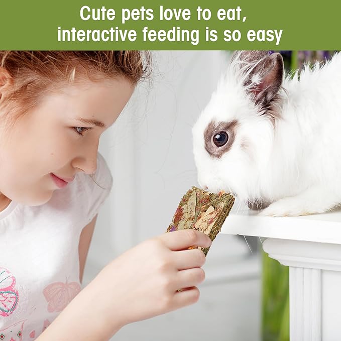 Abizoo Rabbit Natural Treats,10Pcs Timothy Hay Toys Chips Bunny chew Toys with Herbal Flowers Guinea Pig Treats for Hamster Chinchillas Gerbils Rats Small Animals Teeth Care Crisp Snacks-PurrikoPets