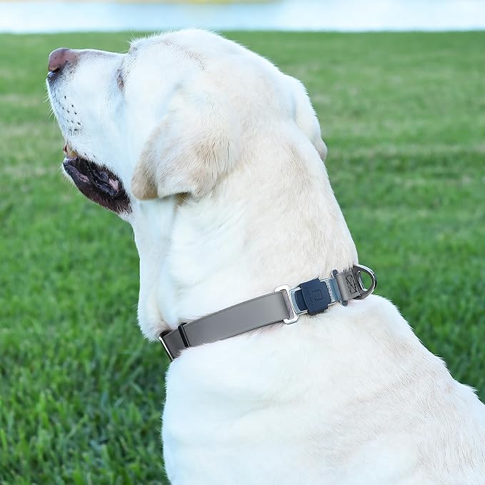 Dogline Biothane Waterproof Dog Collar with Herm Sprenger Black Stainless Steel Quick Release Buckle – Heavy Duty Tactical Durable Collar for Dogs – Comfortable and Safe Pet Collar W 1" L 15-25" Gray-PurrikoPets