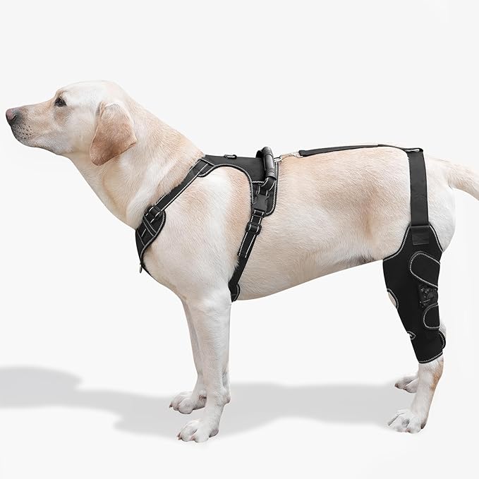 Dog Knee Brace with Adjustable Support – ACL & CCL Tear Recovery, Post-Surgery Stabilization, Mobility Aid for Rear Legs – Includes Secure Chest Harness for Dogs(Left,L)-PurrikoPets