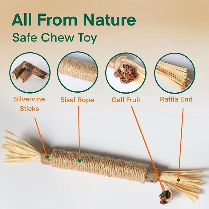 8.66 inches Silvervine Sticks Cat Toys, Natural Catnip Kittens Chew Toy for Teeth Cleaning,Big Catmint Blend Stick, Dental Kitty Chews for Indoor(5 Pack)-PurrikoPets