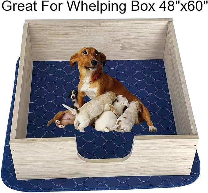 2Pack Dog Pads Washable 53”x65”, Extra Large Puppy Pads Waterproof, Super Absorption, Anti Skid Whelping Pad for Puppy Pen-PurrikoPets
