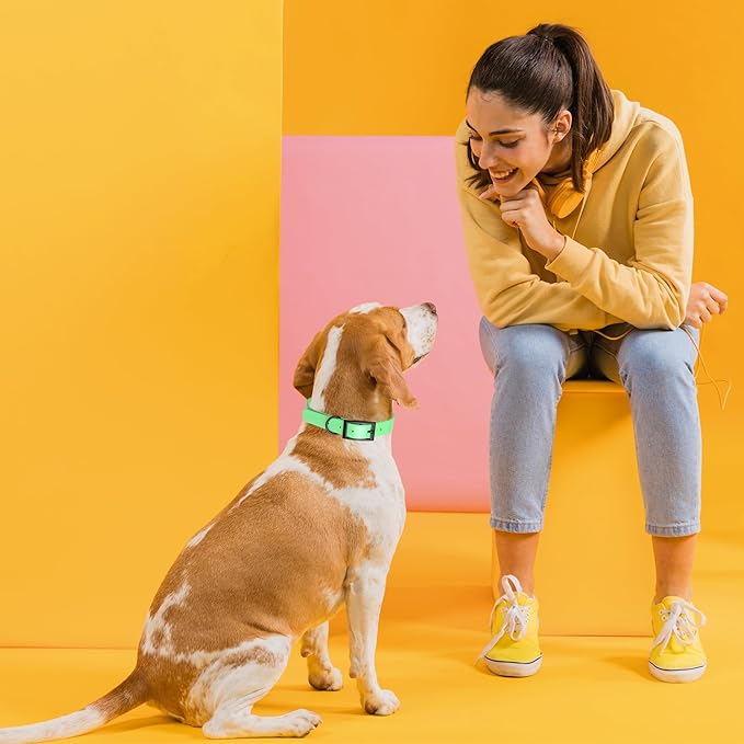 Dogline Biothane Waterproof Dog Collar Strong Coated Nylon Webbing with Black Hardware Odor- Proof for Easy Care Easy to Clean High Performance Fits Small Medium or Large Dogs, Sea Foam Green-PurrikoPets