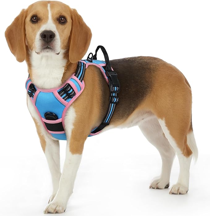 Eagloo Dog Harness Small Sized Dog, No Pull Service Vest with Reflective Strips and Control Handle, Adjustable and Comfortable for Walking, No Choke Pet Harness with 2 Metal Rings, Pink & Blue, S-PurrikoPets