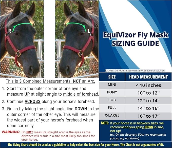 EquiVizor 95% UV Eye Protection (COB) Standard Horse Fly Mask - Help with Uveitis, Corneal Ulcer, Light Sensitivity. Designed to Stay On Your Horse, Off The Ground.-PurrikoPets