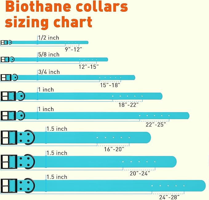 Dogline Biothane Waterproof Dog Collar Strong Coated Nylon Webbing with Black Hardware Odor- Proof for Easy Care Easy to Clean High Performance Fits Small Medium or Large Dogs, Sky Blue-PurrikoPets