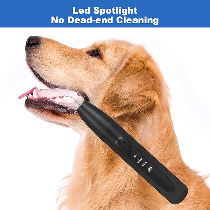 Dog Tooth Brushing Kit,Dogs Teeth Cleaning Kit with Light,3 Modes Doggie Plaque and Tartar Remover for Teeth,Low Noise Dog Teeth Cleaner and Dental Care, Black1-PurrikoPets