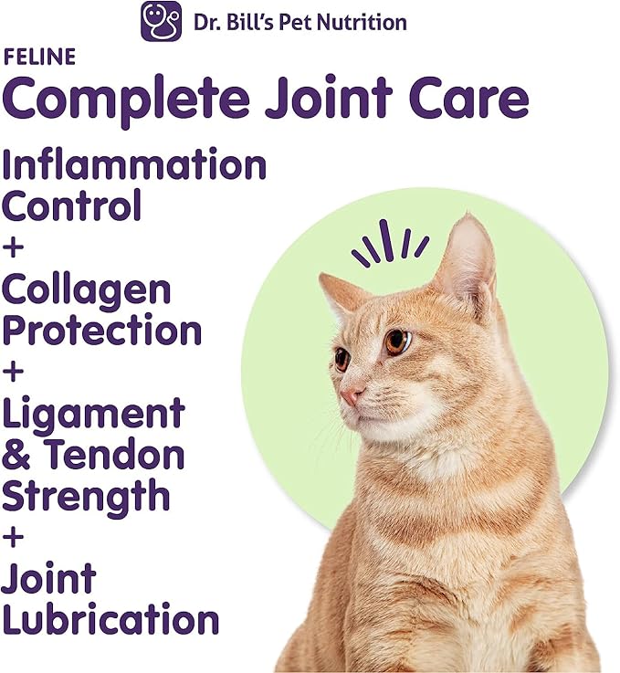 Dr. Bill’s Feline Complete Joint Care | Advanced Hip & Joint Supplement for Cats | Green Lipped Mussel Extract, Collagen Type II, Chondroitin, Hyaluronic Acid, Omega 3 and Colostrum | Powder, 85g-PurrikoPets