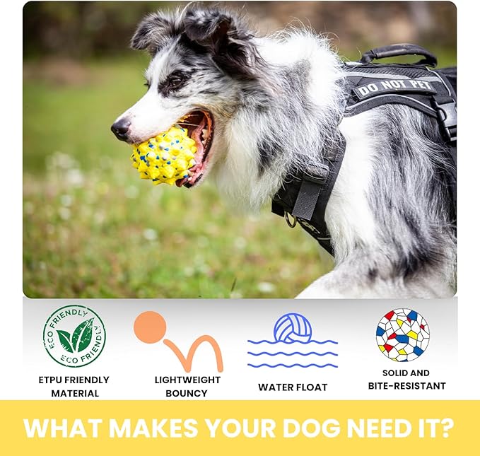 Durable Interactive Dog Toys for Aggressive Chewers,Puppy Teething Toys,Floating Fetch Balls,Bouncing Chew Balls,Tennis Balls for Dogs (2 Balls)-PurrikoPets