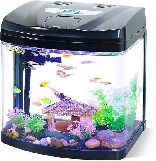 4 Gallon Glass Aquarium Starter Kit with Flip-Top Feeding Port for Betta Fish: Crystal Clear 360° Viewing, Eco-Cycle Filtration, Air Pump, and LED Lighting-PurrikoPets