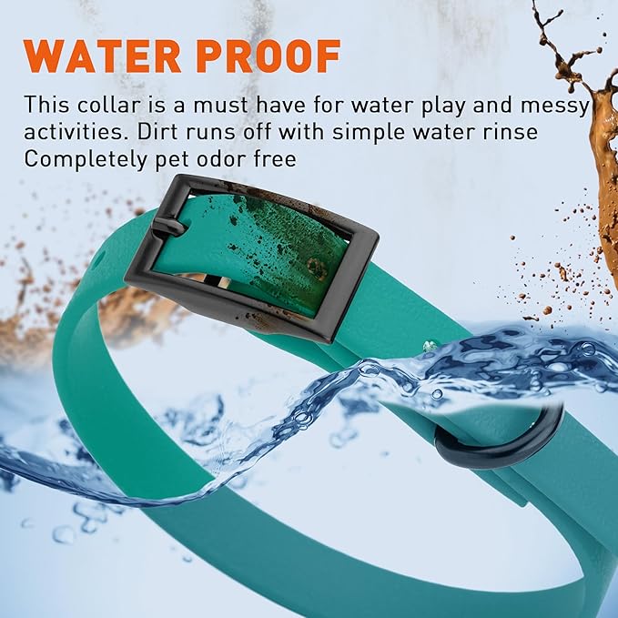 Dogline Biothane Waterproof Dog Collar Strong Coated Nylon Webbing with Black Hardware Odor- Proof for Easy Care Easy to Clean High Performance Fits Small Medium or Large Dogs, Blue Aqua-PurrikoPets