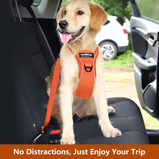 Dog Seat Belt Harness for Car, Dog Car Harness Adjustable Mesh Breathable & Dogs Seatbelt Safety Tether with Elastic Bungee for Small Medium Large Pets(Orange, XL)-PurrikoPets
