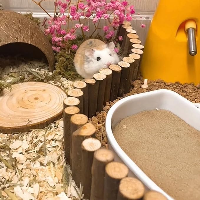 DR.DUDU Hamster Bath Sand, 6.6lb Dust Free Desert Sand or Potty Litter Sand for Hamster Chinchillas Gerbil Syrian Mice Small Animals (Beige)-PurrikoPets