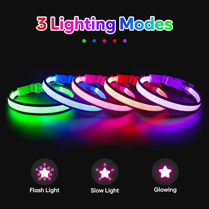 Flashseen LED Dog Collar, Light Up Dog Collar USB Rechargeable, Brightest Dog Lights for Night Walking, Adjustable Dog Collar Light for Dog Safety (Large, Royal Blue)-PurrikoPets