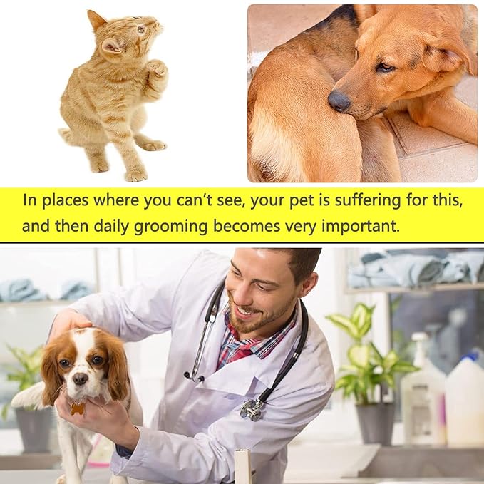 Flea and Lice Comb for Cats and Dogs - 2-in-1 Metal Round Smooth Teeth Pet Grooming Comb - Tear Stain and Mucus Crust Remover - Removes Floating Hair, Tangles, Dander (Green)-PurrikoPets