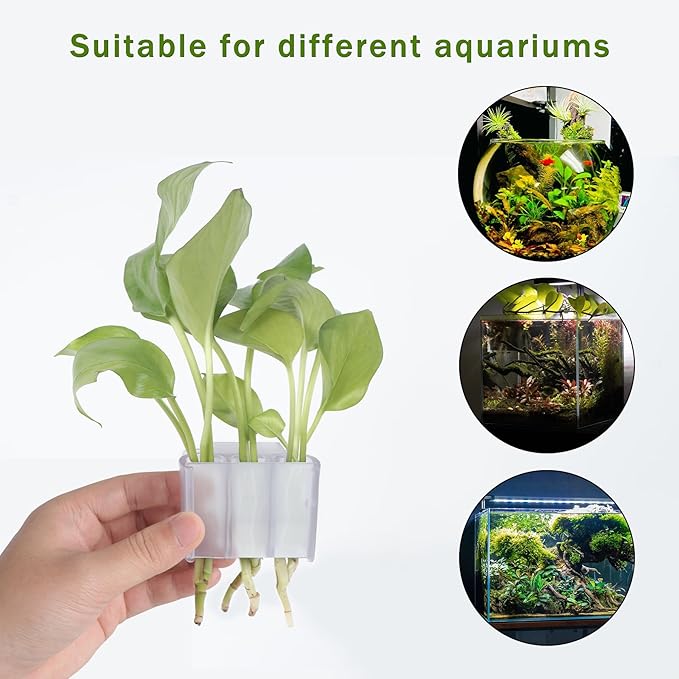 3 Holes Upgraded Aquatic Plant Cup Aquarium Plant Holder for Tank,Hanging Aquarium Plant Holder,Aquarium Aquatic Plant Cultivation,Aquarium Plant Decoration. (White 2PCS)-PurrikoPets