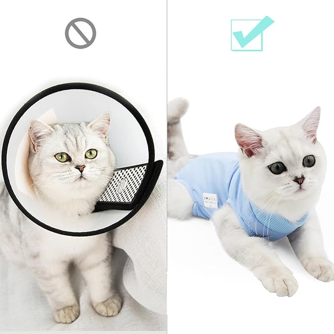 DOTON Cat Recovery Suit for Male and Female Surgical Post Surgery Soft Cone Onesie Shirt Clothes Neuter Licking Protective Diapers Outfit Cover Kitten Spay Collar(M, Blue)-PurrikoPets