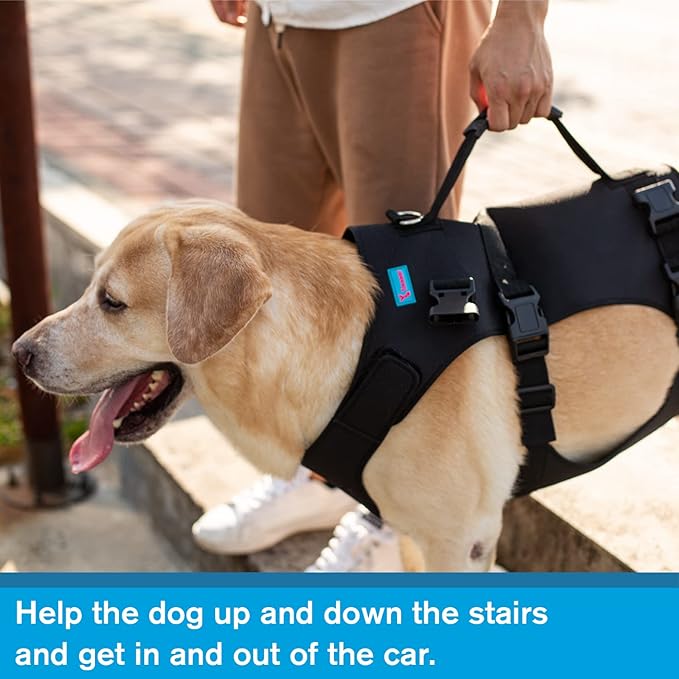 Dog Lift Harness, Rehabilitation Lifts Vest for Dogs, Support & Recovery Sling, Adjustable Breathable Lifting Straps for Old, Joint Injuries, Arthritis, Paralysis Dogs Walk (XL, Black)-PurrikoPets