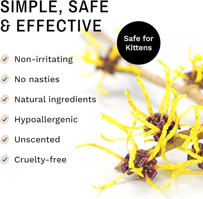 Eye Envy Tear Stain Wipes for Cats. Textured to Gently Clean, Treats The Cause of Staining. 100% Natural Formula. Recommended by Persian & Exotic Breeders, Vets, Groomers. USA Made. 60 Cat Eye Wipes-PurrikoPets