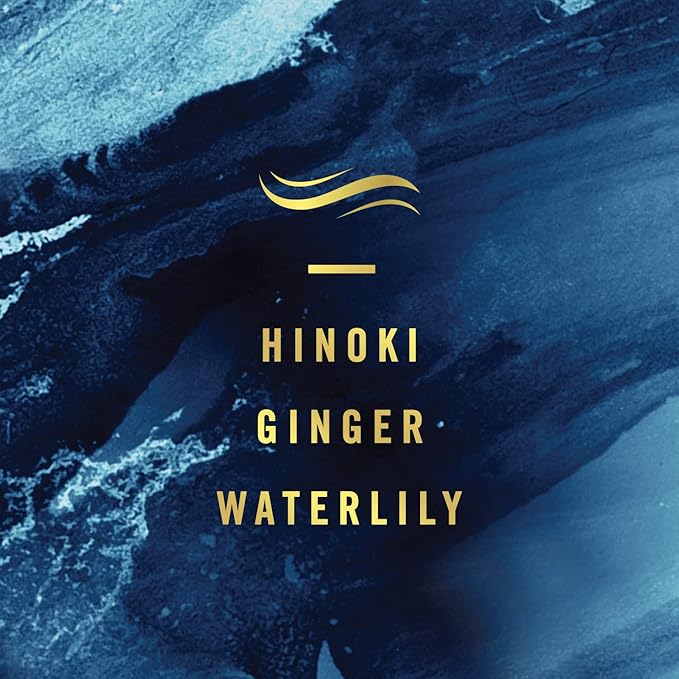 Febreze Small Spaces, Ocean, .25 fl. oz., Pack of 3-PurrikoPets