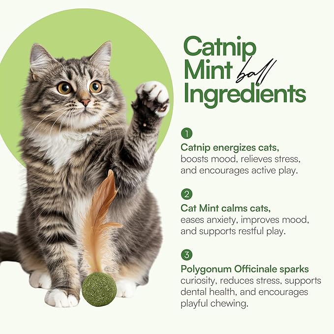 3 Pcs Catnip Balls with Feathers – Natural Catnip Toy for Play, Stress Relief & Healthy Enrichment Interactive Cat Toys Perfect for Indoor Cats & Kittens, Encourages Active Play & Wellness-PurrikoPets