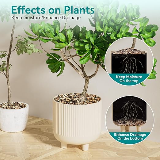 2.5 lbs Pebbles for Indoor Plants, Vase, Succulent, 3/8" Gravel for Plants, Pots Indoor, Bamboo Rocks for Bamboo Plants, Decorative Small River Rock, Highly Polished-PurrikoPets