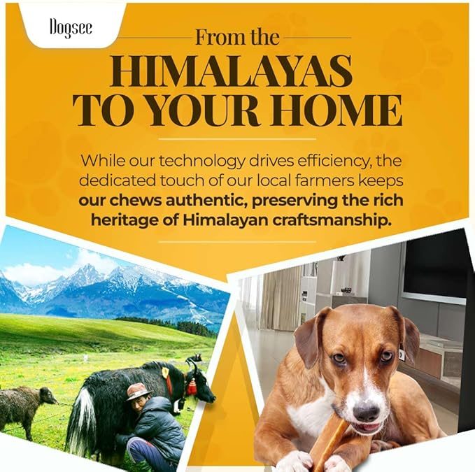 Dogsee Original Yak Cheese Himalayan Dog Chews 1lb (Small- 13 Bars) | 100% All Natural | Dog Treats Small Breed | Dog Chews Long Lasting for Aggressive Chewers | High Protein | Dental Sticks-PurrikoPets