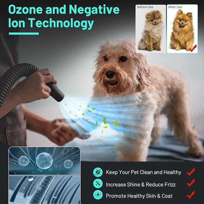 Dog Dryer High Velocity Dog Hair Dryer with 4 Nozzles 5.2HP/3800W (Professional Super Cyclone), Stepless Adjustable Speed Temperature Dogs Grooming Blow Dryer with Heater for Pets Hair Dryer, Yellow-PurrikoPets