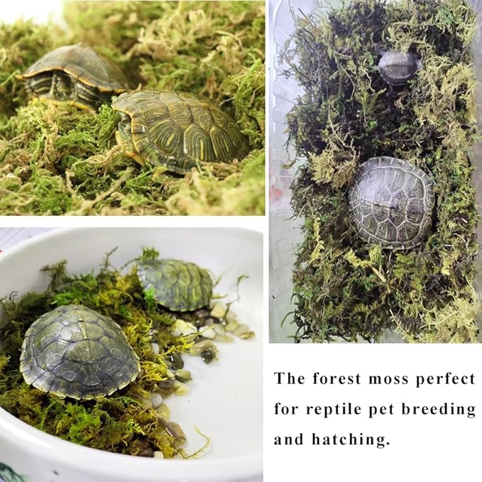 5L Forest Moss for Hamster Syrian Gerbils Bedding, Natural Moss Perfect for Potted Plants, Terrariums, Reptile Tanks and Live Creature Projects-PurrikoPets