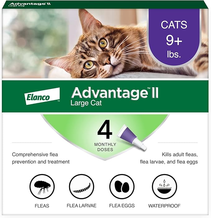 Advantage II Large Cat Vet-Recommended Flea Treatment & Prevention | Cats Over 9 lbs. | 4-Month Supply-PurrikoPets