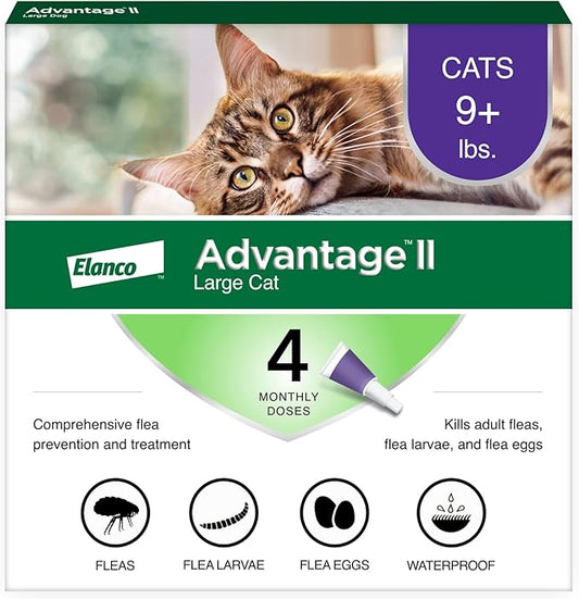 Advantage II Large Cat Vet-Recommended Flea Treatment & Prevention | Cats Over 9 lbs. | 4-Month Supply-PurrikoPets