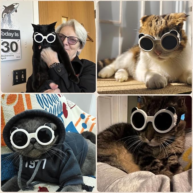 Dog Goggles for Small Breed UV/Wind/Dust Protection Puppy Sunglasses with Adjustable Strap - White-PurrikoPets