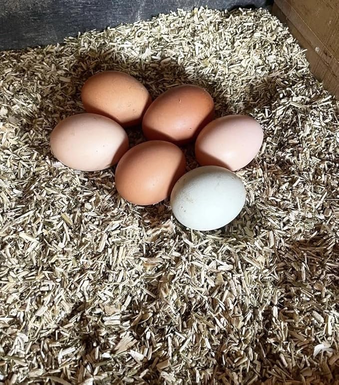 Eaton Pet and Pasture, Naturally Grown Hemp Pet Bedding for Chickens, Nesting Boxes, Rabbits, Hamsters, Small Pets, Highly Absorbent, Hypoallergenic, Eco-Friendly, Farmer Owned 28L-PurrikoPets