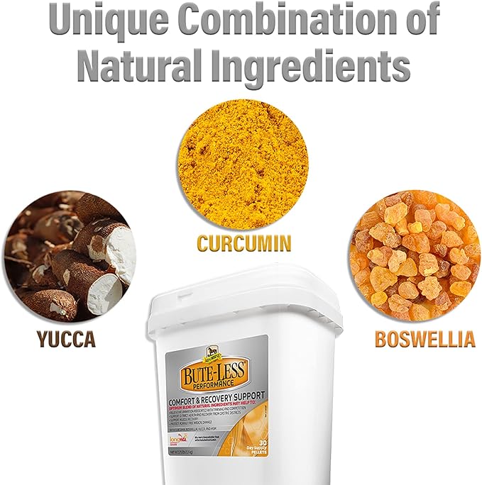 Absorbine Bute-Less Performance Advanced Formula Horse Supplement Pellets, Supports Healthy Inflammatory Response & GI Tract, 3.75lb Tub / 30 Day Supply-PurrikoPets