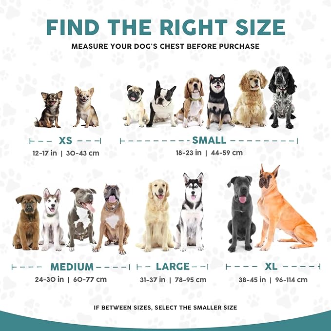 Embark Adventure Dog Harness, Reflective Trim XL Dog Harness for Extra Large Dogs No Pull - Military Grade Nylon, 2 Leash Clips & Gel Lined Handle.-PurrikoPets